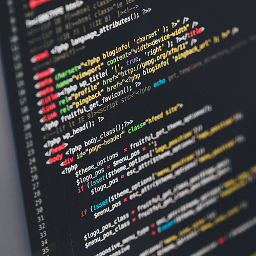 WordPress Development